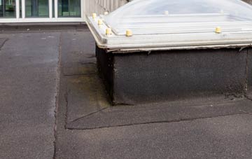 disadvantages of Ellingham flat roofs