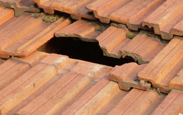 roof repair Ellingham
