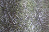 Ellingham fibreglass roof work